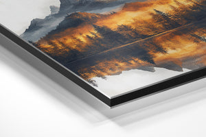 Sunlit Forest Mountain