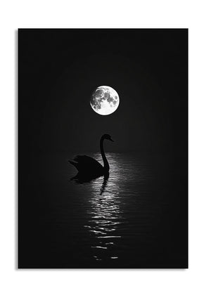 Silhouette of a swan on water with a full moon in the background, as a premium aluminum metal print from GoMetalPrint.
