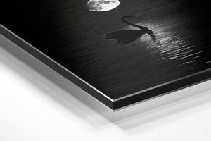 Swan and Moon Reflection