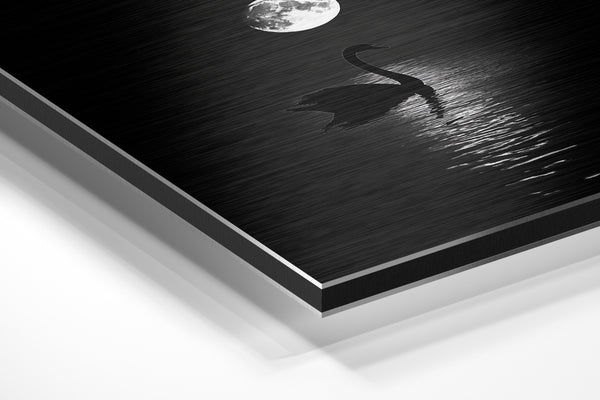 Swan and Moon Reflection