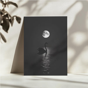 Swan and Moon Reflection