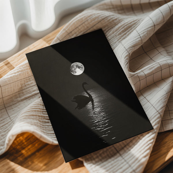 Swan and Moon Reflection