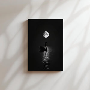 Swan and Moon Reflection