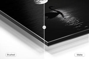 Swan and Moon Reflection