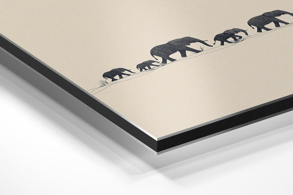 Elephant Family March