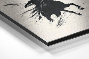 Wild Horse and Rider