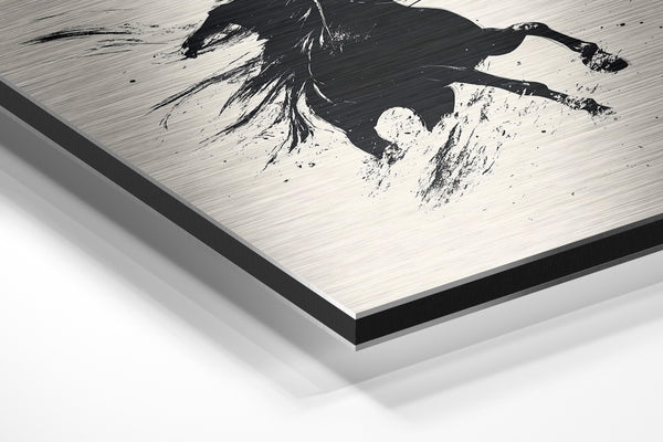 Wild Horse and Rider