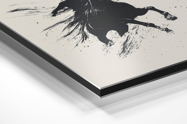 Wild Horse and Rider