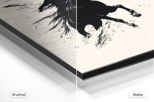 Wild Horse and Rider