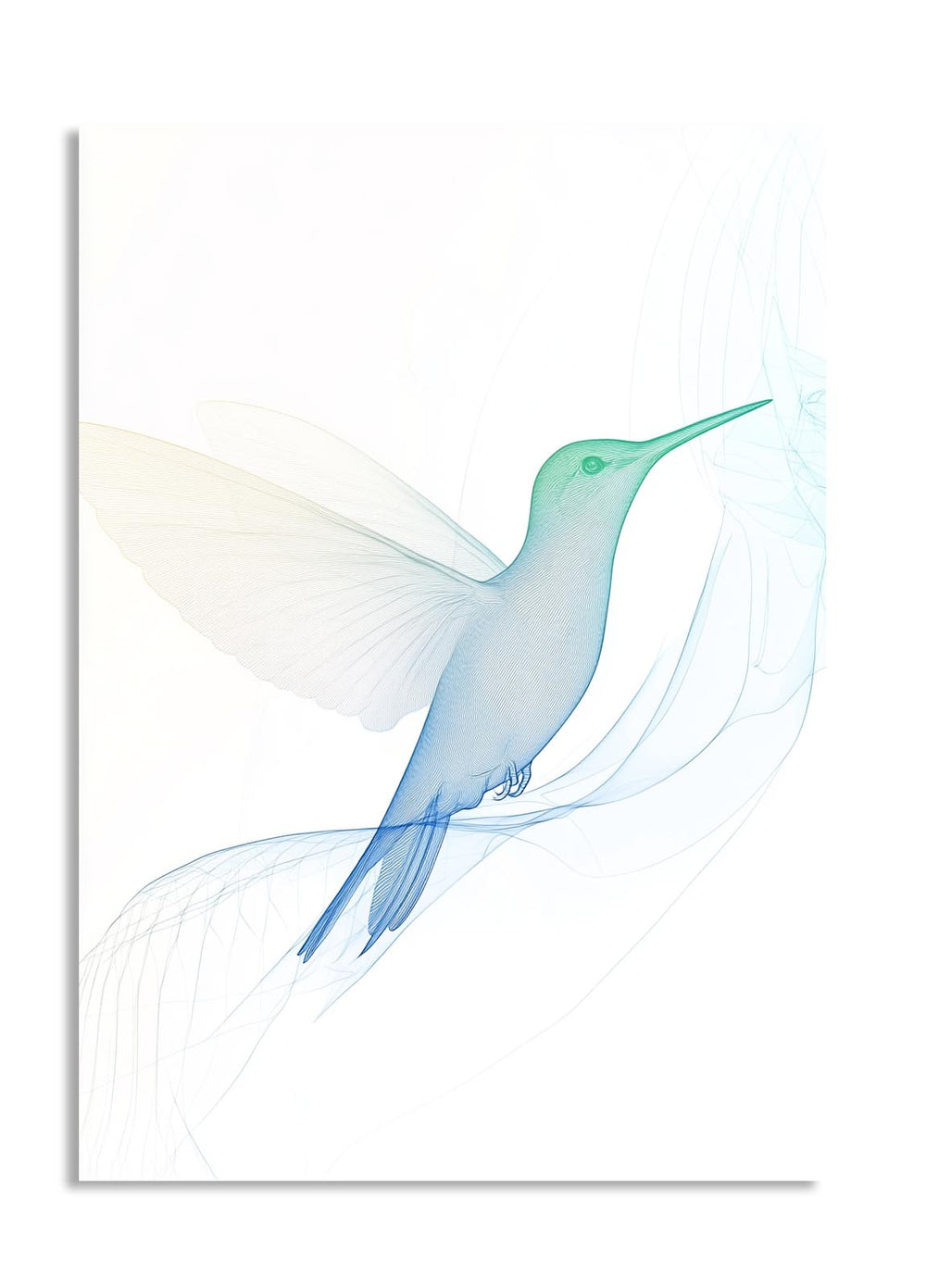 Artistic depiction of a hummingbird with a gradient color effect on a white background, as a premium aluminum metal print from GoMetalPrint.
