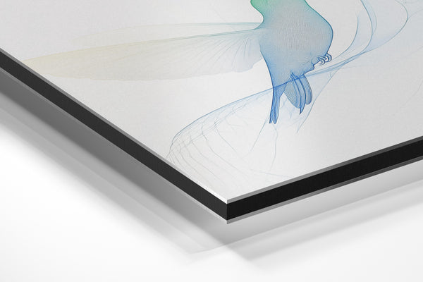 Ethereal Hummingbird