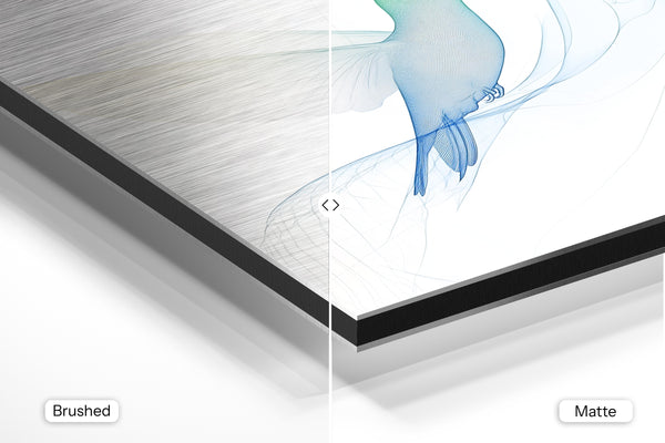 Ethereal Hummingbird