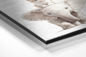 Kitten and Elephant Friendship