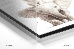 Kitten and Elephant Friendship