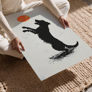 Playful Dog with Frisbee