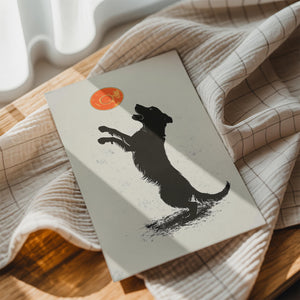 Playful Dog with Frisbee