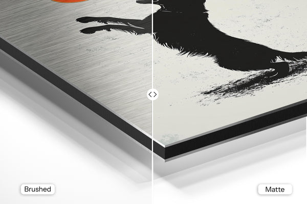 Playful Dog with Frisbee