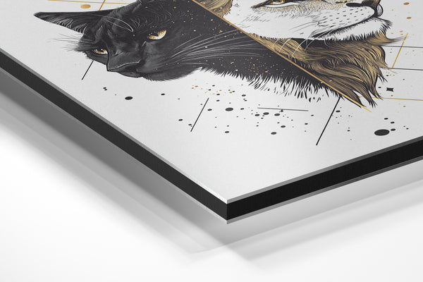 Panther and Lion Duality