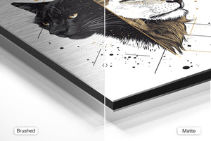 Panther and Lion Duality