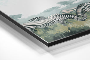 Zebra Wildlife Harmony