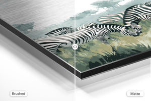 Zebra Wildlife Harmony