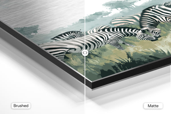 Zebra Wildlife Harmony