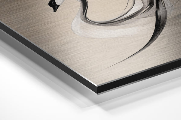 Elegant Swan in Motion