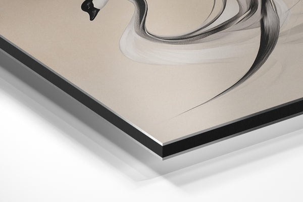 Elegant Swan in Motion