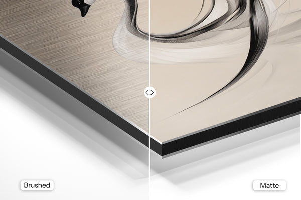 Elegant Swan in Motion