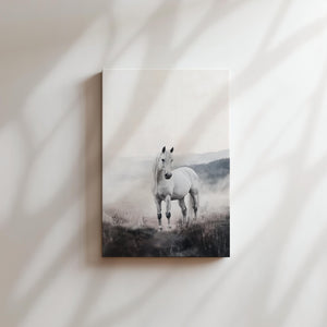 White Horse in Mist