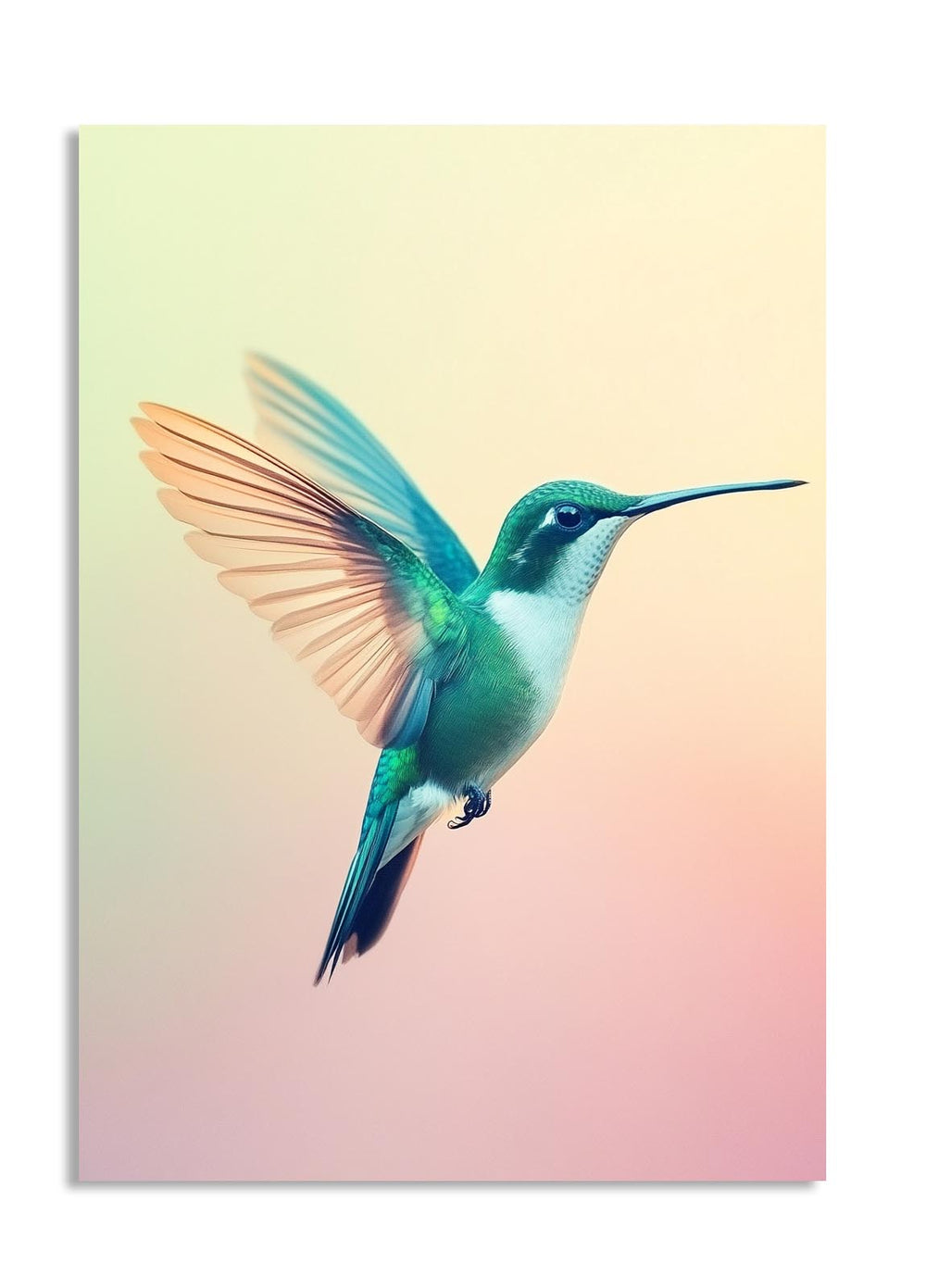 Hummingbird in flight against a pastel gradient background, as a premium aluminum metal print from GoMetalPrint.
