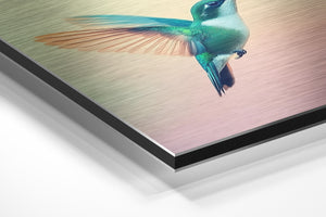 Vibrant Hummingbird in Flight