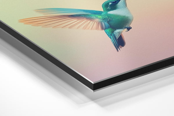 Vibrant Hummingbird in Flight