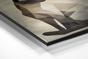 Geometric Siamese Cat