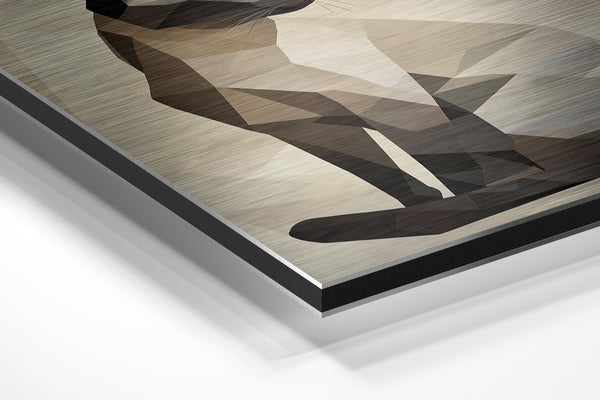 Geometric Siamese Cat