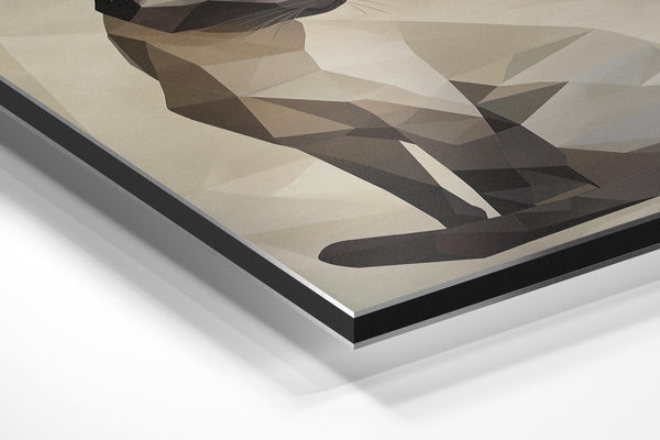 Geometric Siamese Cat