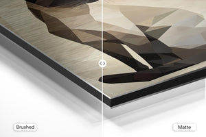 Geometric Siamese Cat