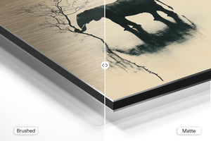 Elephant Water Reflection