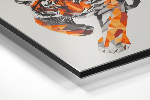 Polygonal Tiger Leap