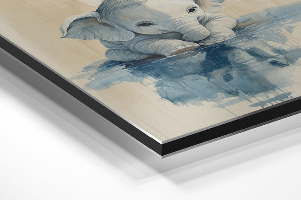 Baby Elephant Water Reflection