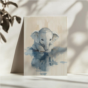 Baby Elephant Water Reflection