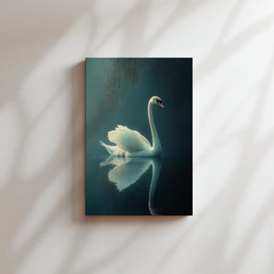 Serene White Swan