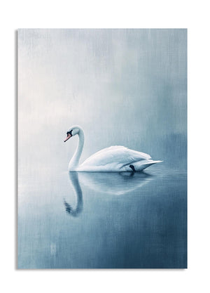 White swan floating on a calm water surface with a gradient blue background , as a premium aluminum metal print from GoMetalPrint.
