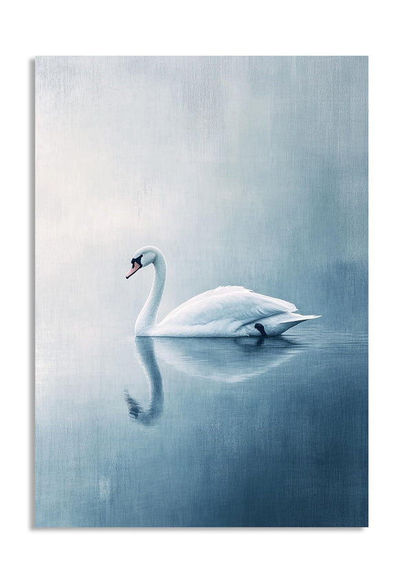 White swan floating on a calm water surface with a gradient blue background , as a premium aluminum metal print from GoMetalPrint.
