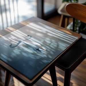 Tranquil Swan Reflection