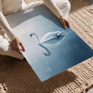Tranquil Swan Reflection