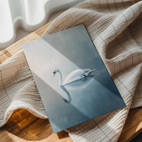 Tranquil Swan Reflection