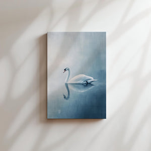 Tranquil Swan Reflection