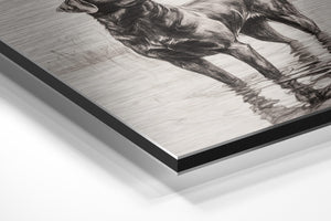 Black Labrador Sketch