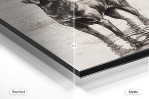 Black Labrador Sketch